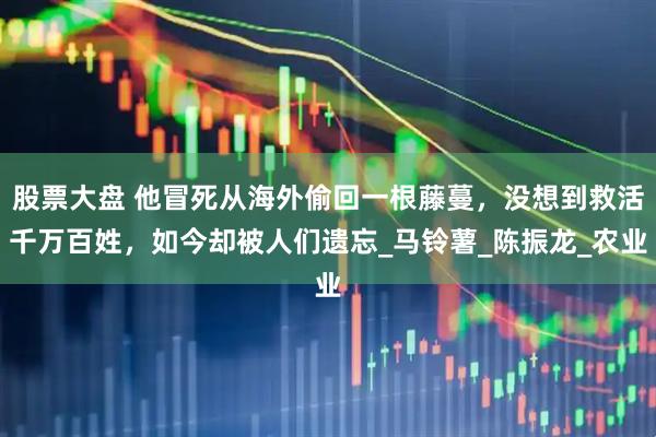 股票大盘 他冒死从海外偷回一根藤蔓，没想到救活千万百姓，如今却被人们遗忘_马铃薯_陈振龙_农业