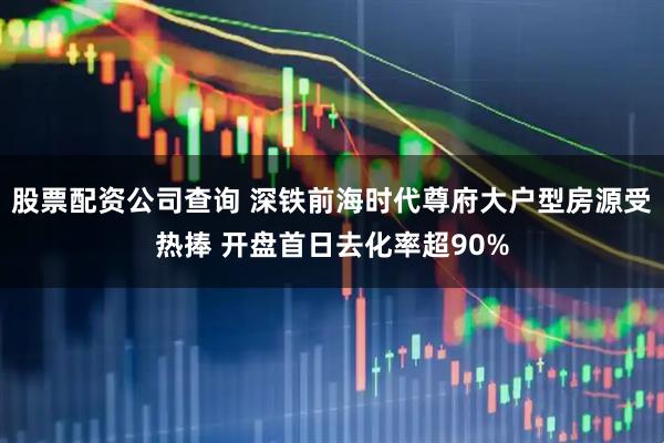 股票配资公司查询 深铁前海时代尊府大户型房源受热捧 开盘首日去化率超90%