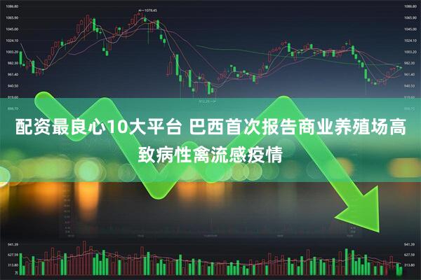 配资最良心10大平台 巴西首次报告商业养殖场高致病性禽流感疫情