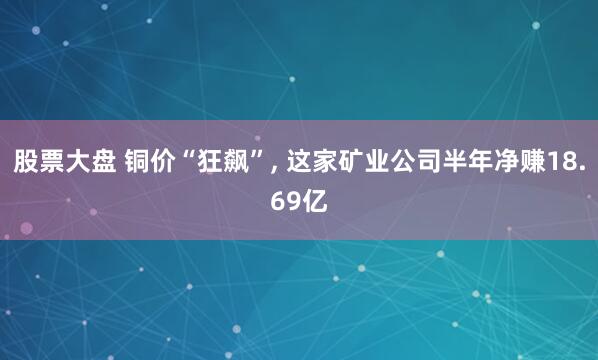股票大盘 铜价“狂飙”, 这家矿业公司半年净赚18.69亿