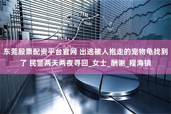 东莞股票配资平台官网 出逃被人抱走的宠物龟找到了 民警两天两夜寻回_女士_酬谢_程海镇